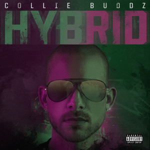 Legal Now - Collie Buddz listen song