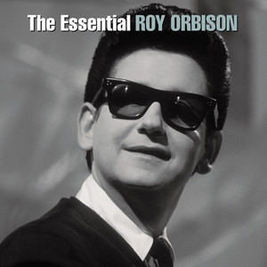 I Drove All Night - Roy Orbison listen song