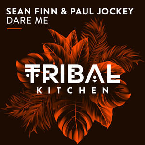 Dare Me - Original Mix - Sean Finn & Paul Jockey listen song