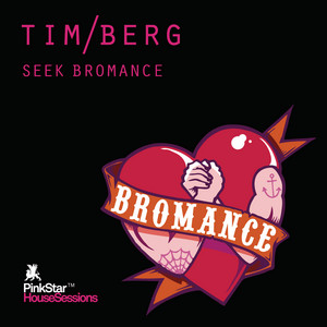 Seek Bromance - Avicii Vocal Edit - Tim Berg & Avicii listen song
