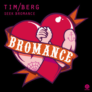 Seek Bromance (Avicii Vocal Edit) - Tim Berg