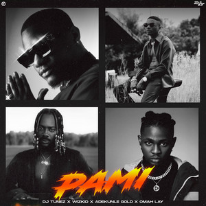 PAMI (feat. Wizkid, Adekunle Gold & Omah Lay) - DJ Tunez & Wizkid & Adekunle Gold & Omah Lay listen song