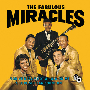 You've Really Got A Hold On Me - The Miracles