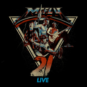 Obviously - Live at the O2 - McFly listen song