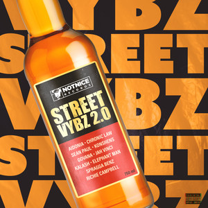 Bring Rum - Notnice & Elephant Man listen song