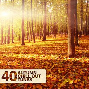 Bye Bye Baby - Chillout Mix - YORK listen song