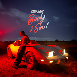 Sip (Alcohol) - Joeboy listen song