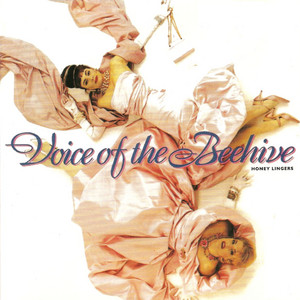 I Think I Love You - Voice Of The Beehive