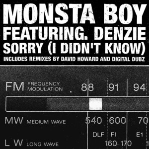 Sorry! (I Didn't Know) - Original Radio Edit - Monsta Boy