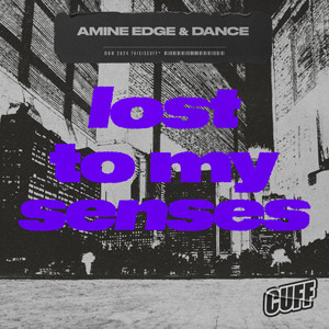 Lost To My Senses - Amine Edge & Amine Edge & DANCE listen song