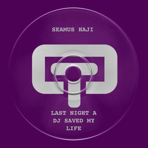 Last Night a DJ Saved My Life - Seamus Haji Mix - Seamus Haji listen song