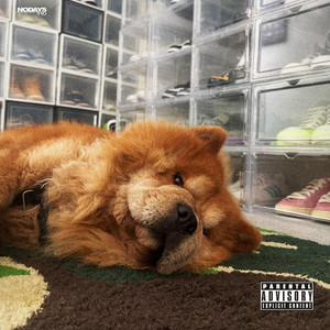 Studio Fit Riddim - Knucks