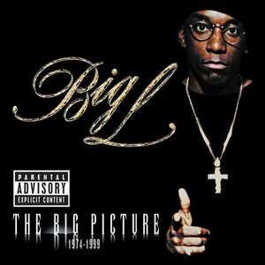 Platinum Plus (feat. Big Daddy Kane) - Big L & Big Daddy Kane listen song