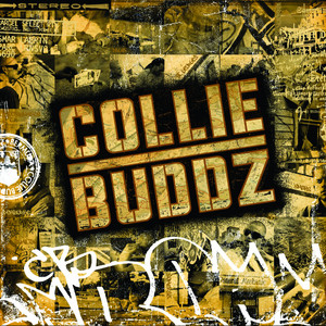 Mamacita - Collie Buddz listen song