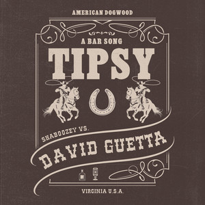 A Bar Song (Tipsy) [Remix] - Shaboozey & David Guetta listen song