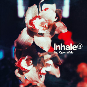 Billy (Yeah Yeah Yeah) - Inhaler listen song