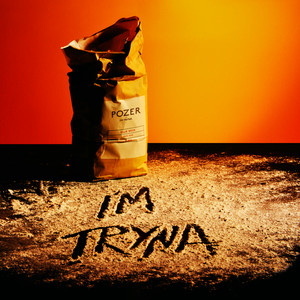 I'M TRYNA - Pozer listen song