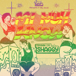 Mi Nuh Know - Shaggy listen song