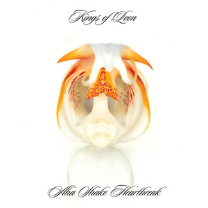 The Bucket - Kings of Leon listen song
