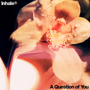 A Question of You - Inhaler listen song