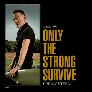 Soul Days (feat. Sam Moore) - Bruce Springsteen & Sam Moore listen song