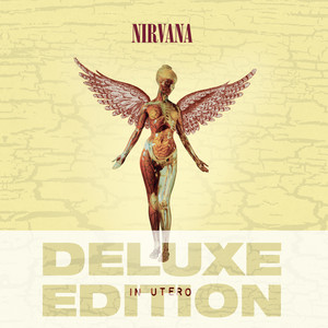 Heart-Shaped Box - Nirvana listen song