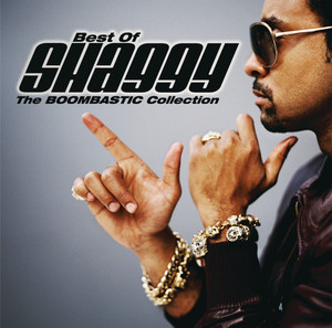 It Wasn't Me - Shaggy & Rik Rok listen song