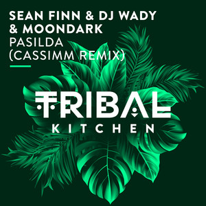 Pasilda - CASSIMM Radio Edit - Sean Finn & DJ Wady & CASSIMM & MoonDark