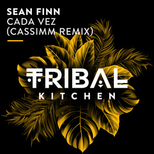 Cada Vez - CASSIMM Extended Remix - Sean Finn & CASSIMM