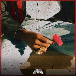 Love Is Only a Feeling - Joey Bada$$ listen song