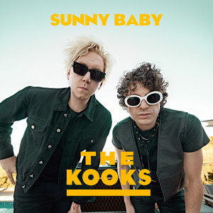 Never Know - The Kooks listen song