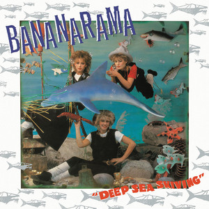 Shy Boy - Bananarama listen song
