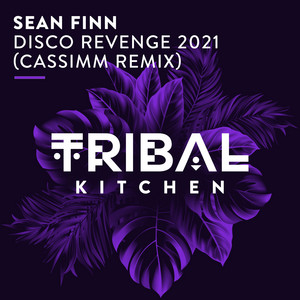 Disco Revenge 2021 - CASSIMM Remix - Sean Finn & CASSIMM