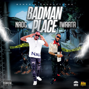 artist cover