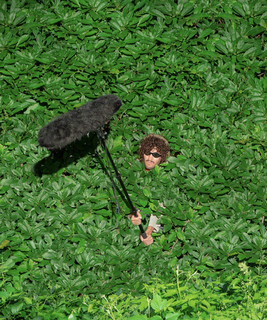 artist cover